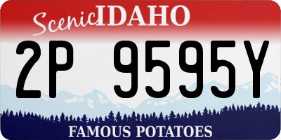 ID license plate 2P9595Y