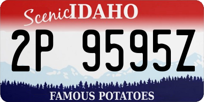 ID license plate 2P9595Z