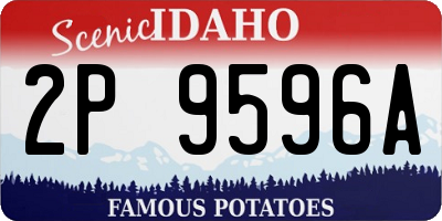 ID license plate 2P9596A