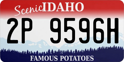 ID license plate 2P9596H