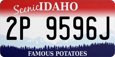 ID license plate 2P9596J