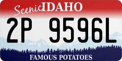 ID license plate 2P9596L