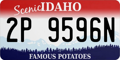ID license plate 2P9596N