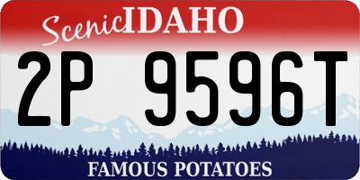 ID license plate 2P9596T