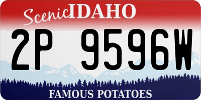 ID license plate 2P9596W