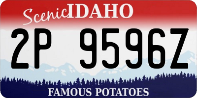 ID license plate 2P9596Z