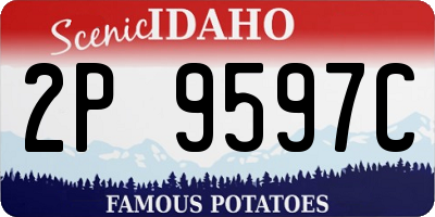 ID license plate 2P9597C