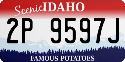 ID license plate 2P9597J