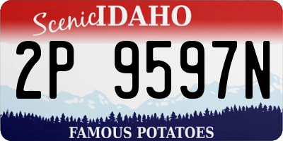 ID license plate 2P9597N