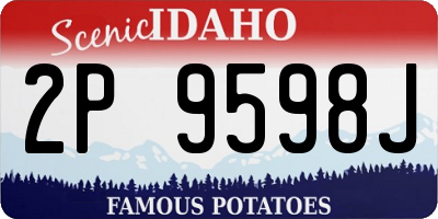 ID license plate 2P9598J