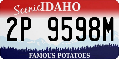 ID license plate 2P9598M