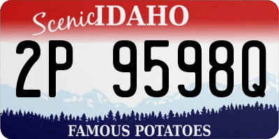ID license plate 2P9598Q