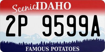 ID license plate 2P9599A