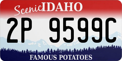ID license plate 2P9599C
