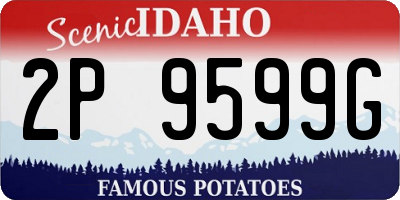 ID license plate 2P9599G