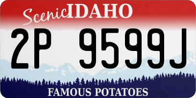 ID license plate 2P9599J