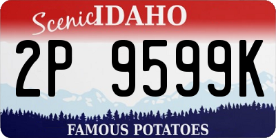ID license plate 2P9599K