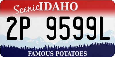 ID license plate 2P9599L