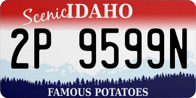 ID license plate 2P9599N