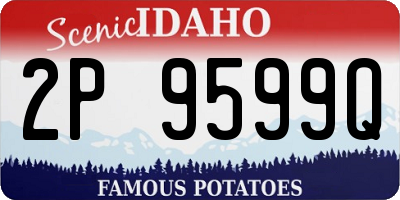 ID license plate 2P9599Q
