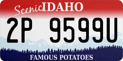 ID license plate 2P9599U