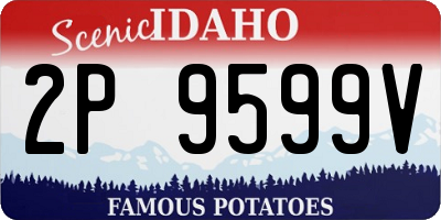 ID license plate 2P9599V