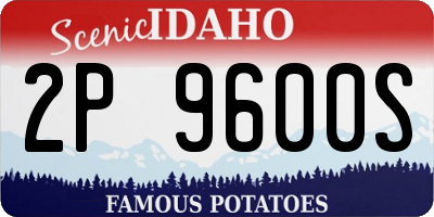 ID license plate 2P9600S