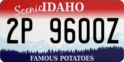 ID license plate 2P9600Z