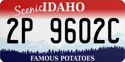 ID license plate 2P9602C