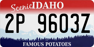 ID license plate 2P9603Z