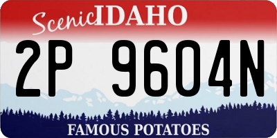 ID license plate 2P9604N