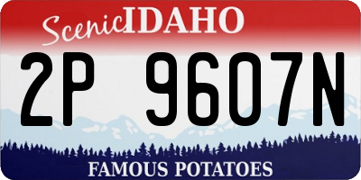 ID license plate 2P9607N