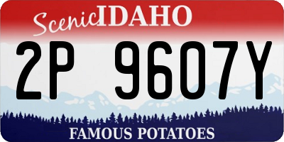 ID license plate 2P9607Y