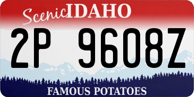ID license plate 2P9608Z