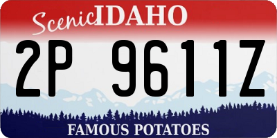 ID license plate 2P9611Z