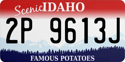 ID license plate 2P9613J