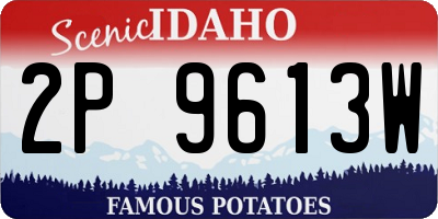 ID license plate 2P9613W