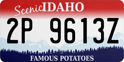 ID license plate 2P9613Z