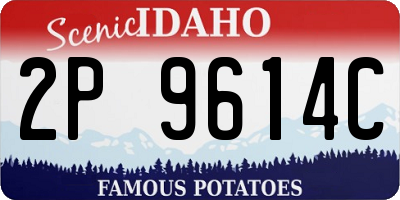 ID license plate 2P9614C