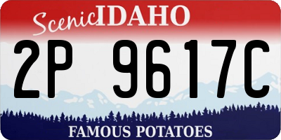 ID license plate 2P9617C