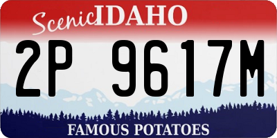 ID license plate 2P9617M