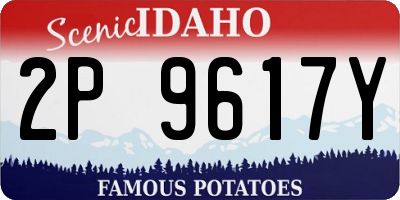 ID license plate 2P9617Y