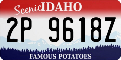 ID license plate 2P9618Z