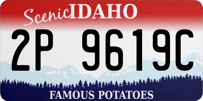 ID license plate 2P9619C