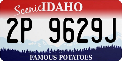 ID license plate 2P9629J