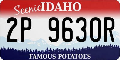 ID license plate 2P9630R