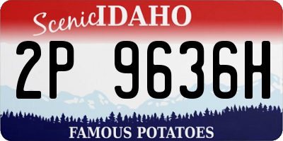 ID license plate 2P9636H