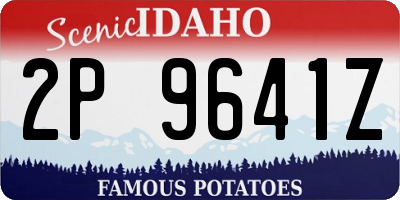 ID license plate 2P9641Z