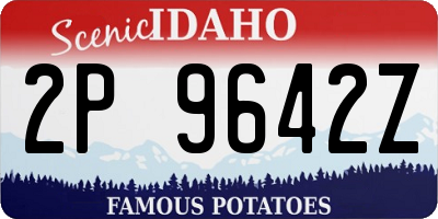 ID license plate 2P9642Z