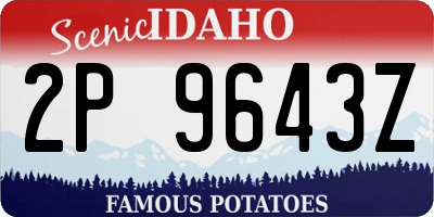 ID license plate 2P9643Z